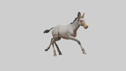 3D model Indian Wild Ass running model VR / AR / low-poly