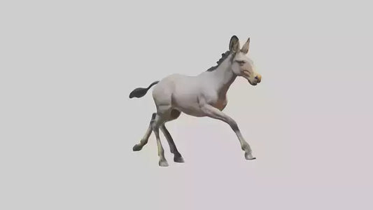 3D model Indian Wild Ass running model VR / AR / low-poly