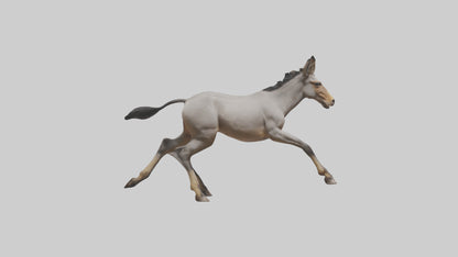3D model Indian Wild Ass running model VR / AR / low-poly