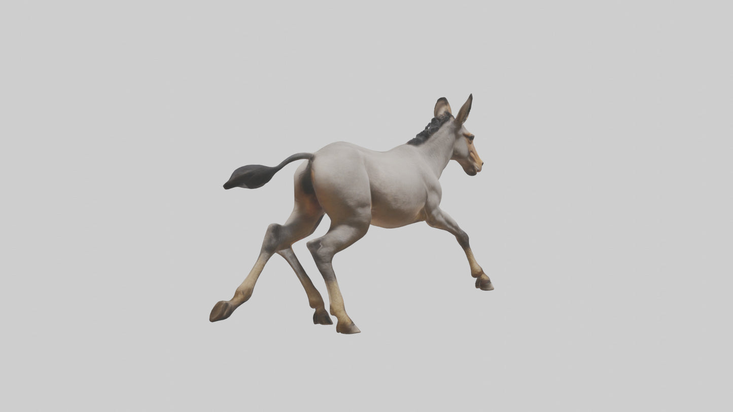 3D model Indian Wild Ass running model VR / AR / low-poly