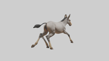 3D model Indian Wild Ass running model VR / AR / low-poly