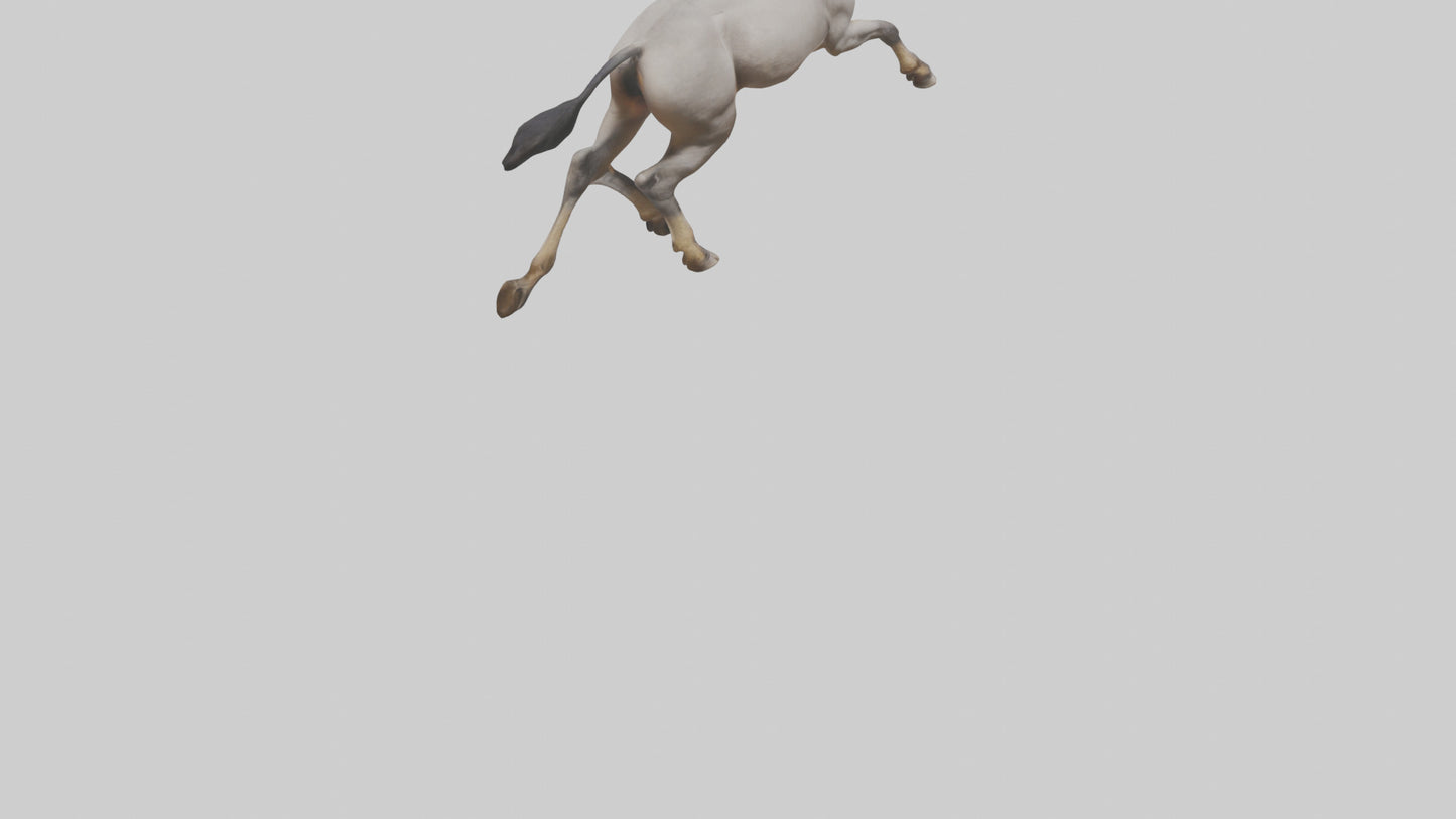3D model Indian Wild Ass running model VR / AR / low-poly