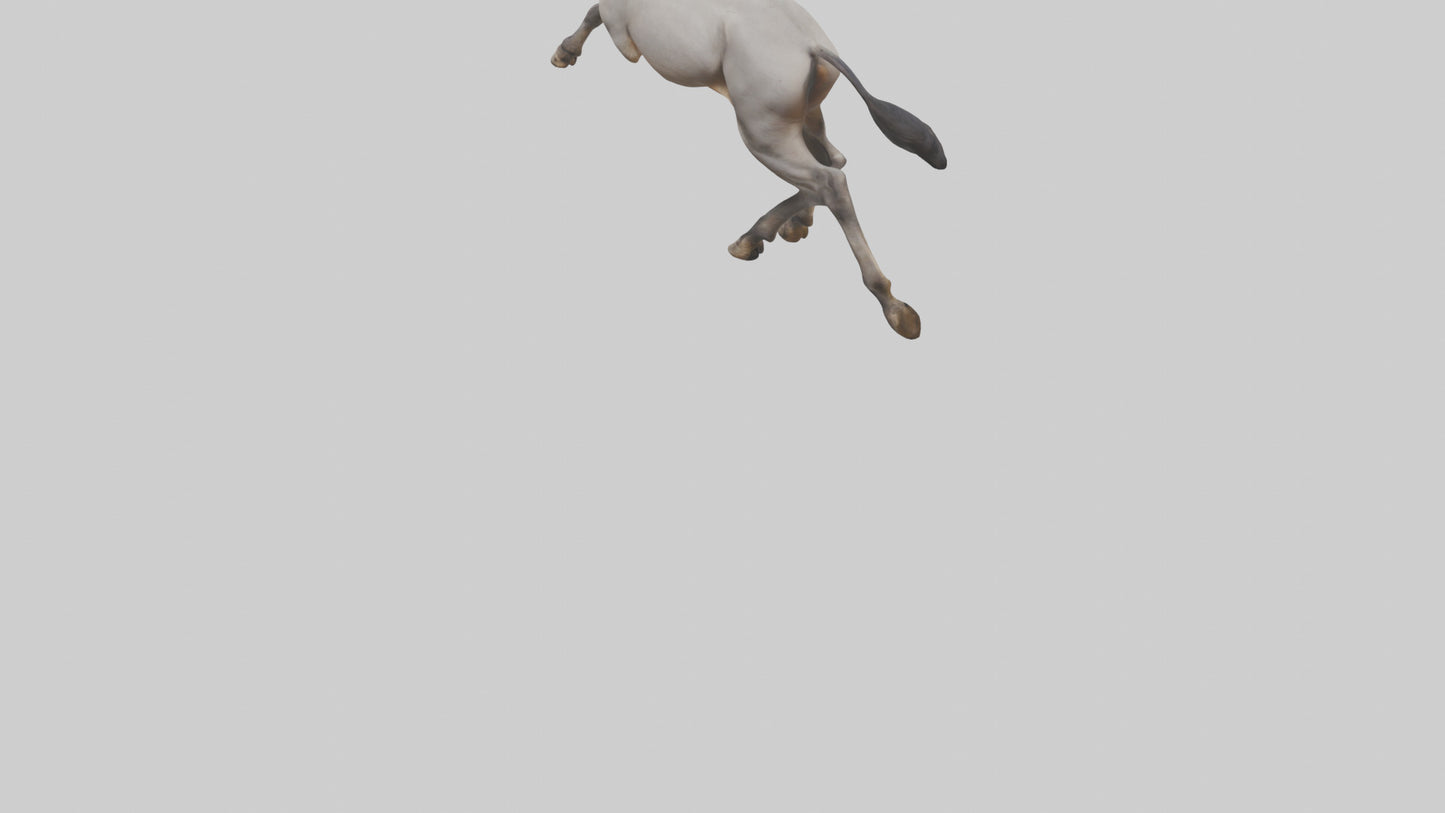 3D model Indian Wild Ass running model VR / AR / low-poly