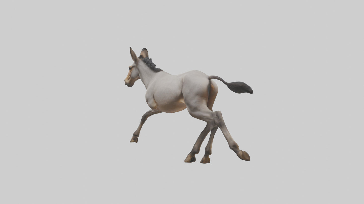 3D model Indian Wild Ass running model VR / AR / low-poly