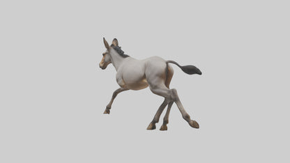 3D model Indian Wild Ass running model VR / AR / low-poly
