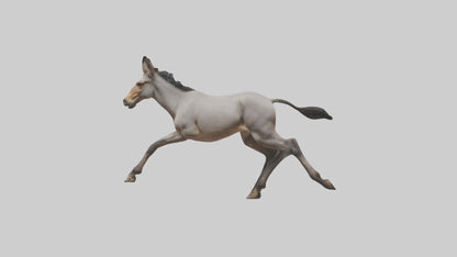 3D model Indian Wild Ass running model VR / AR / low-poly