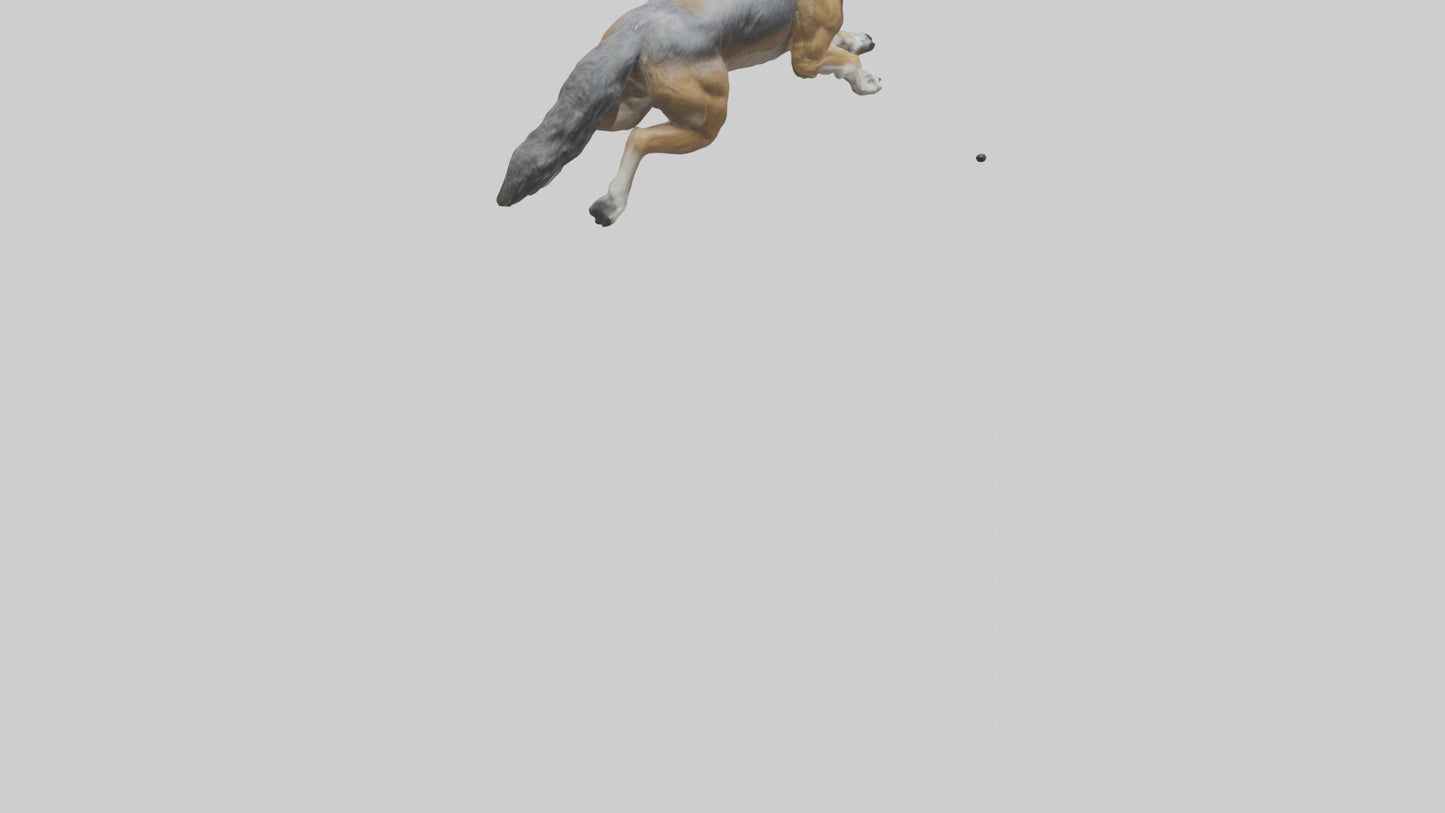 3D model Indian Wolf running model VR / AR / low-poly