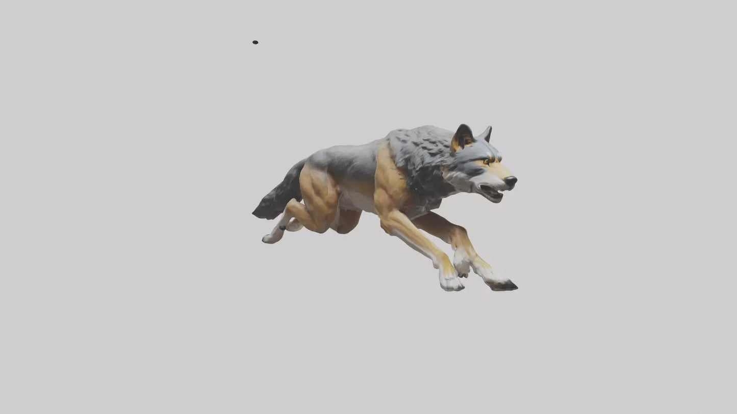 3D model Indian Wolf running model VR / AR / low-poly