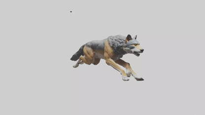3D model Indian Wolf running model VR / AR / low-poly