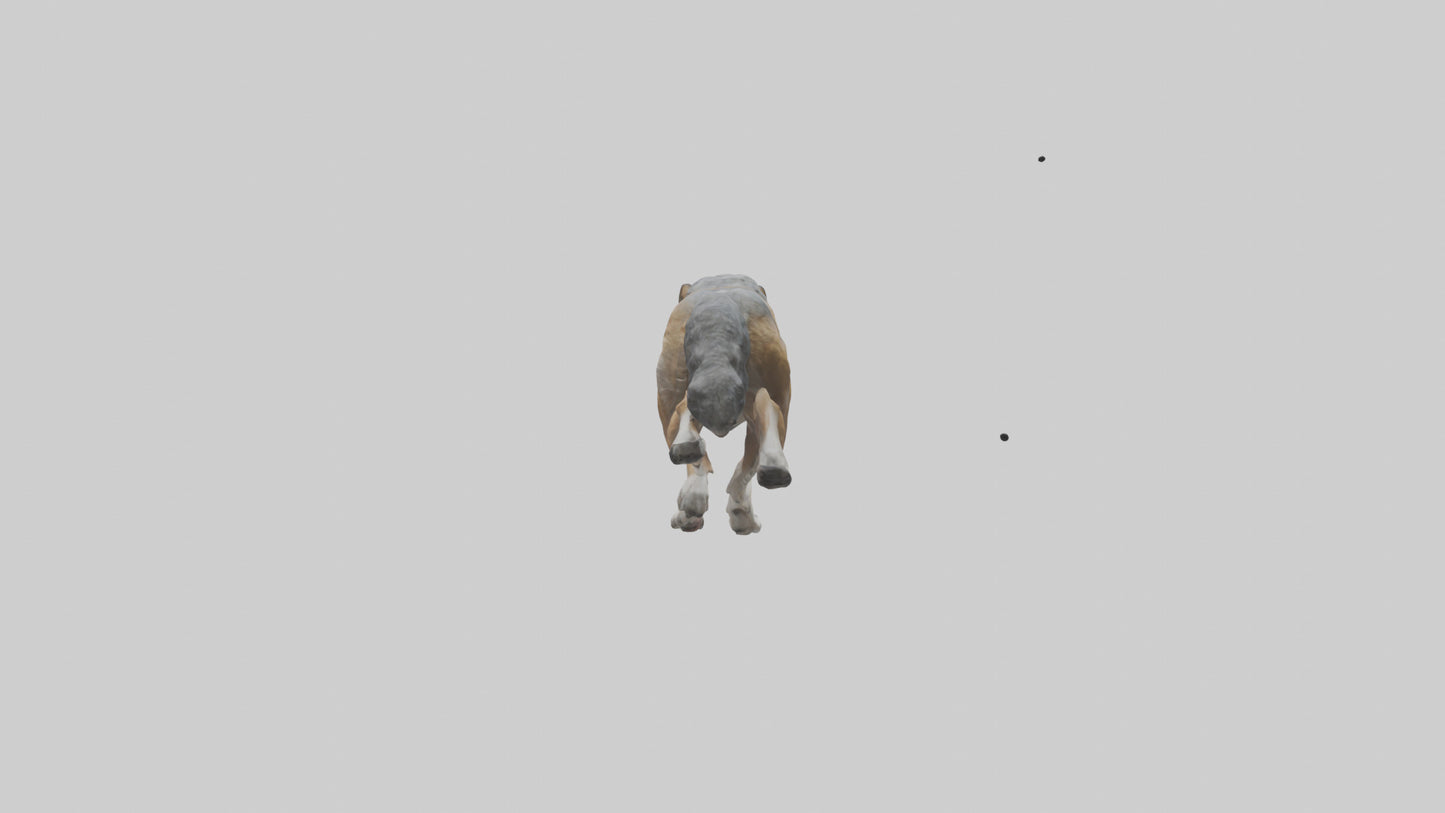 3D model Indian Wolf running model VR / AR / low-poly