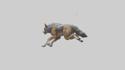3D model Indian Wolf running model VR / AR / low-poly