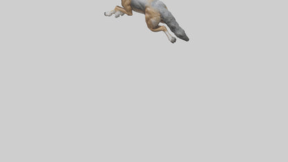 3D model Indian Wolf running model VR / AR / low-poly