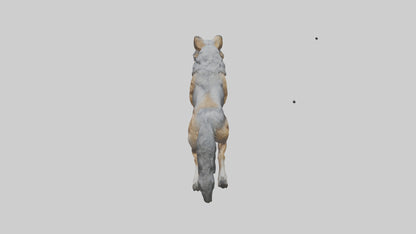 3D model Indian Wolf running model VR / AR / low-poly