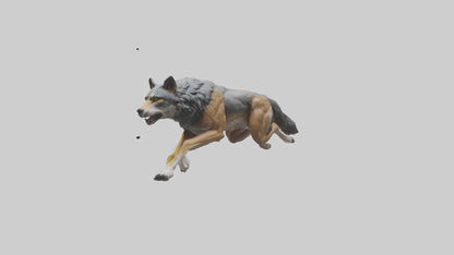 3D model Indian Wolf running model VR / AR / low-poly