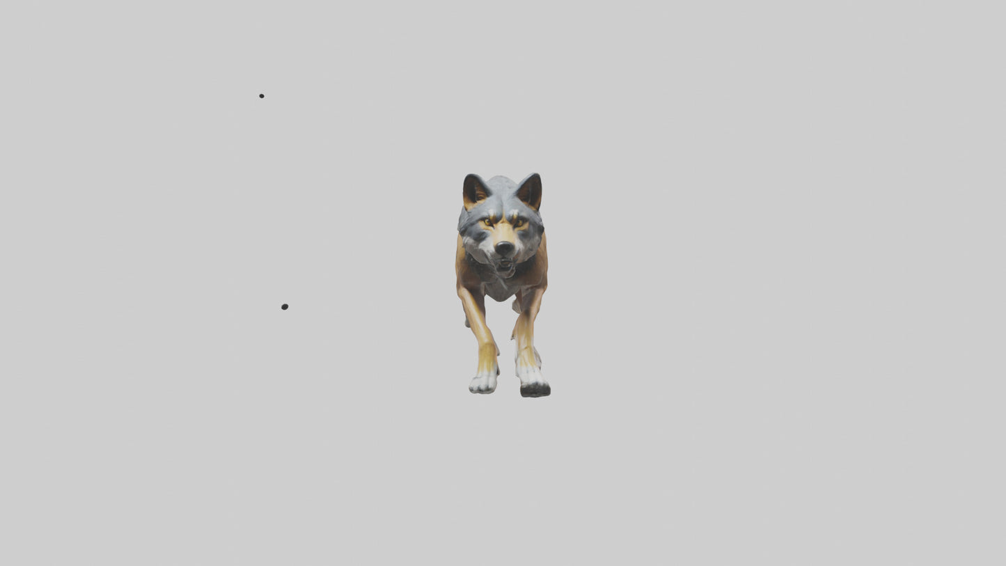 3D model Indian Wolf running model VR / AR / low-poly