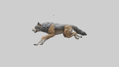 3D model Indian Wolf running model VR / AR / low-poly