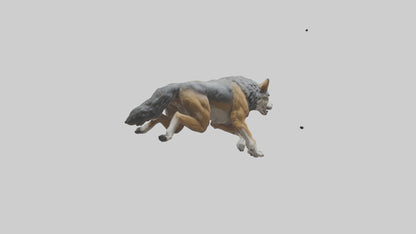 3D model Indian Wolf running model VR / AR / low-poly