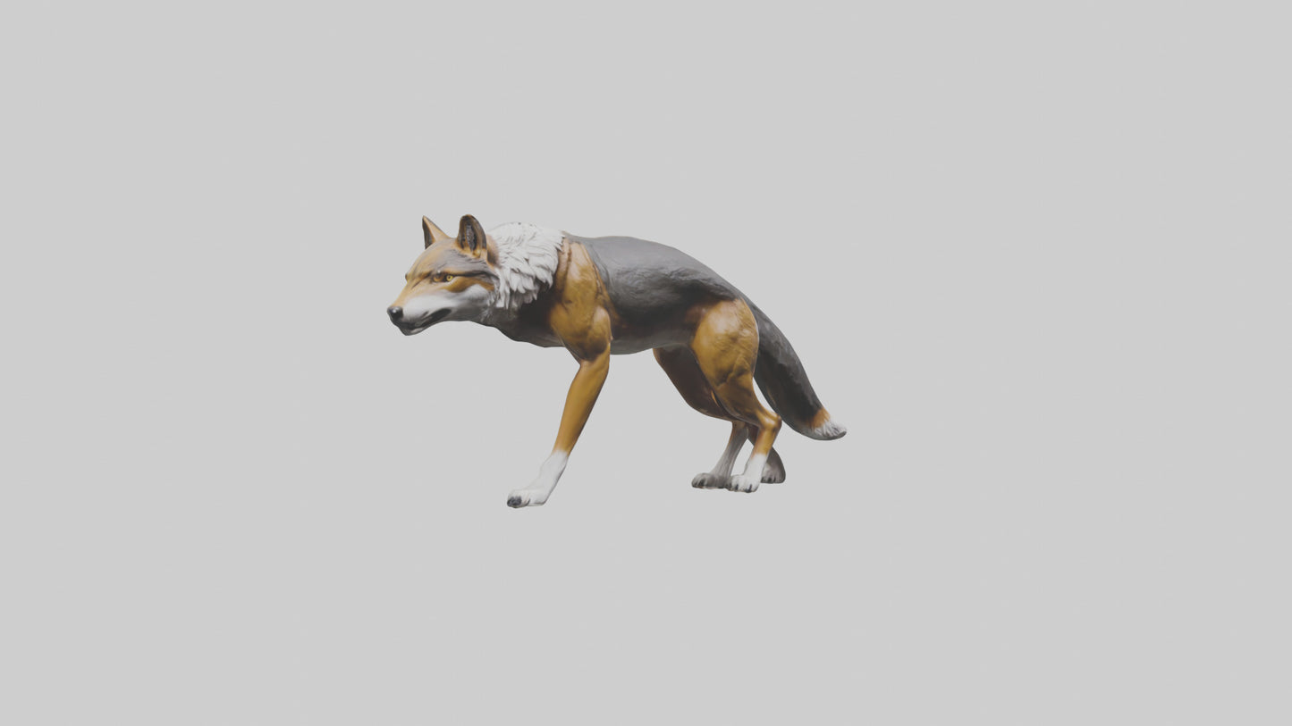 3D model Indian Wolf stalking model VR / AR / low-poly