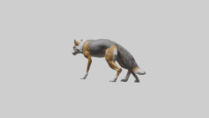 3D model Indian Wolf stalking model VR / AR / low-poly