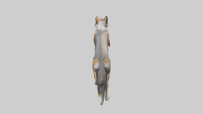 3D model Indian Wolf stalking model VR / AR / low-poly