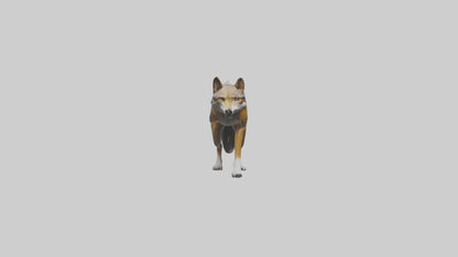 3D model Indian Wolf stalking model VR / AR / low-poly
