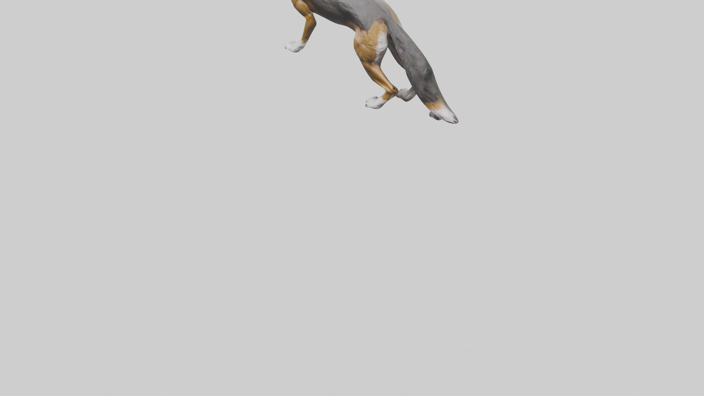 3D model Indian Wolf stalking model VR / AR / low-poly