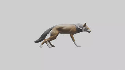 3D model Indian Wolf stalking model VR / AR / low-poly