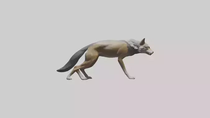 3D model Indian Wolf stalking model VR / AR / low-poly