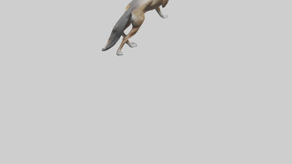 3D model Indian Wolf stalking model VR / AR / low-poly
