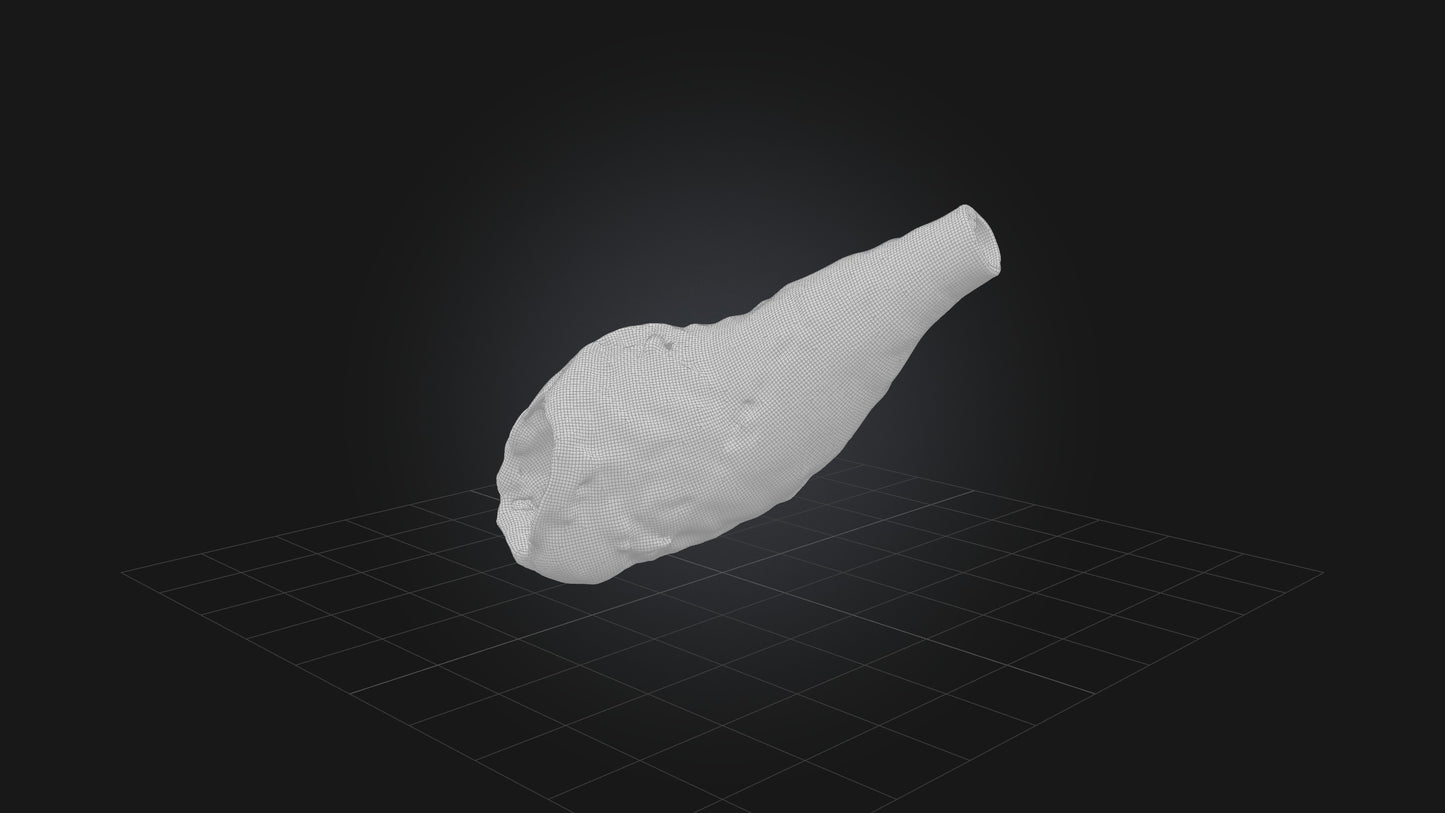 3D model Infected Esophagus VR / AR / low-poly
