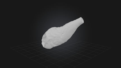 3D model Infected Esophagus VR / AR / low-poly