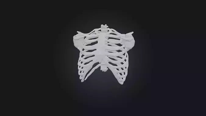 3D model Infected Rib Cage VR / AR / low-poly