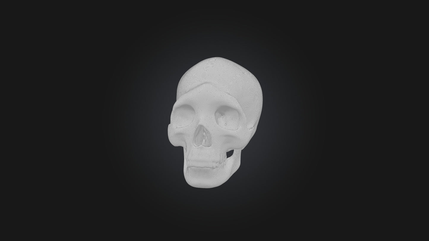 3D model Infected Sinus VR / AR / low-poly