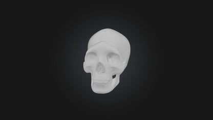 3D model Infected Sinus VR / AR / low-poly