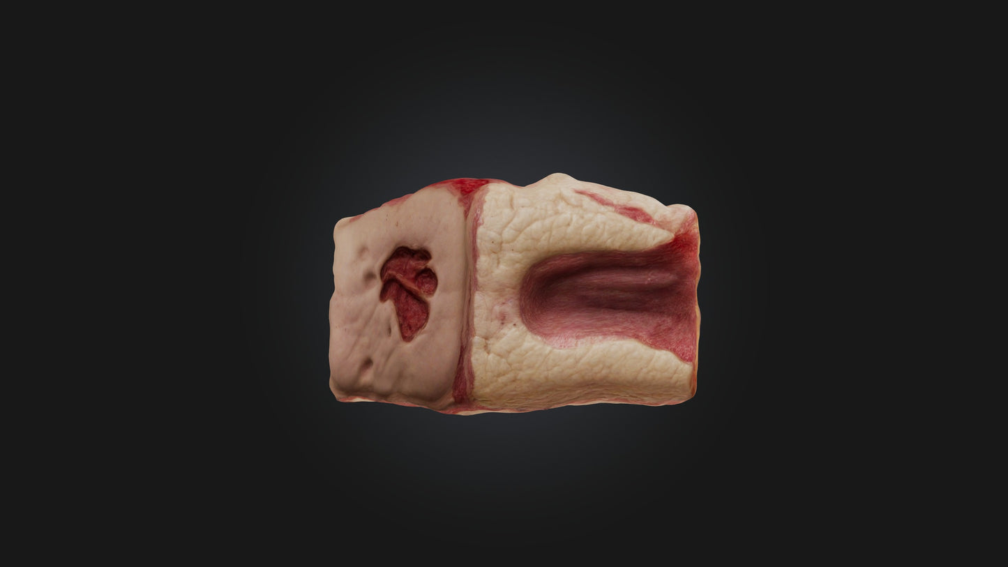 3D model Infected Skin Tissue VR / AR / low-poly