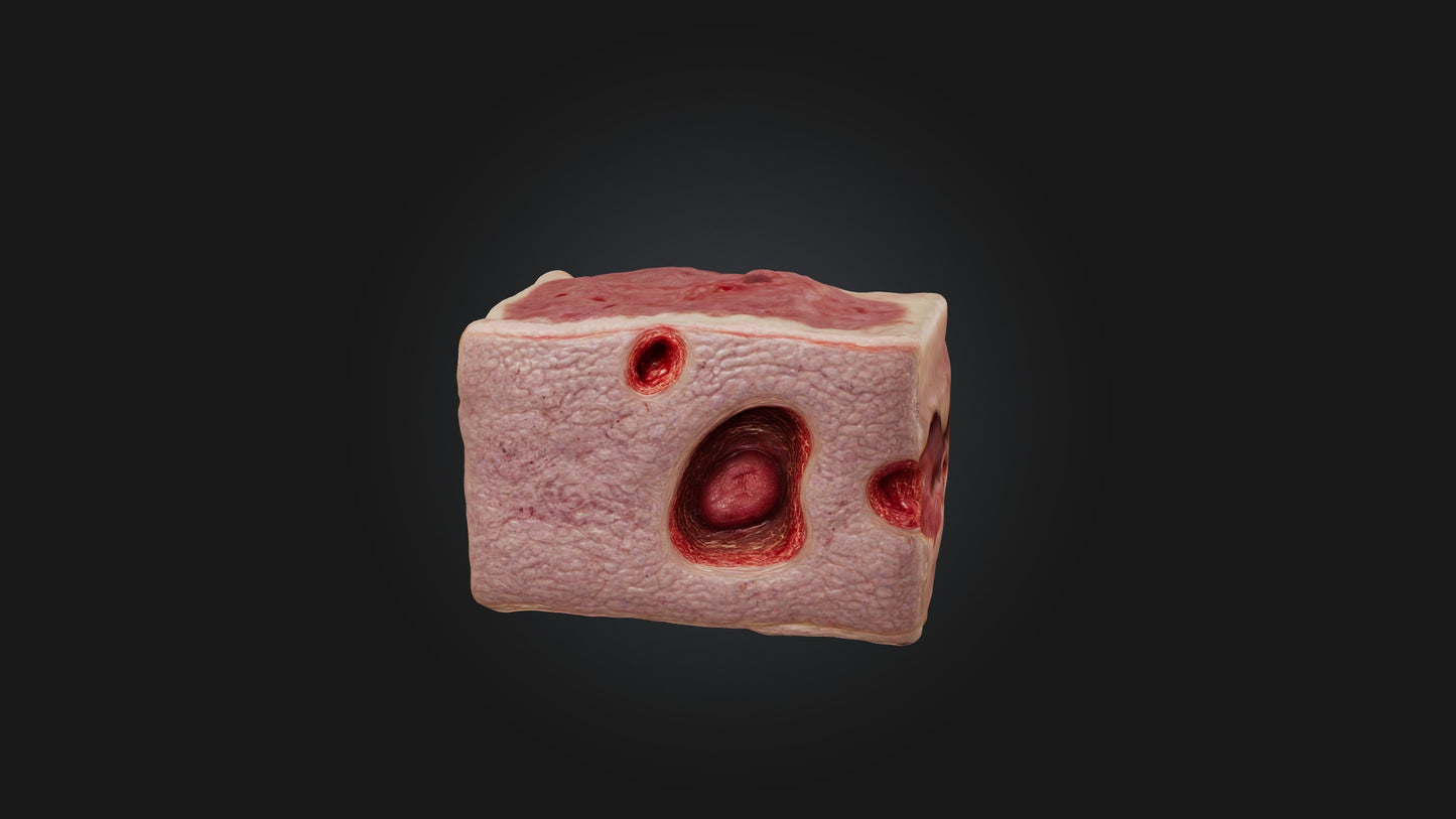 3D model Infected Skin Tissue VR / AR / low-poly