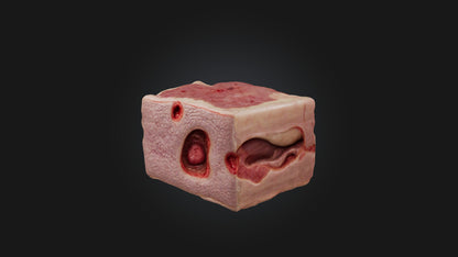 3D model Infected Skin Tissue VR / AR / low-poly