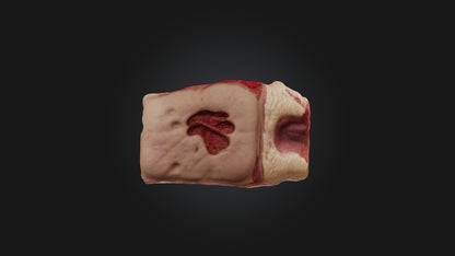3D model Infected Skin Tissue VR / AR / low-poly