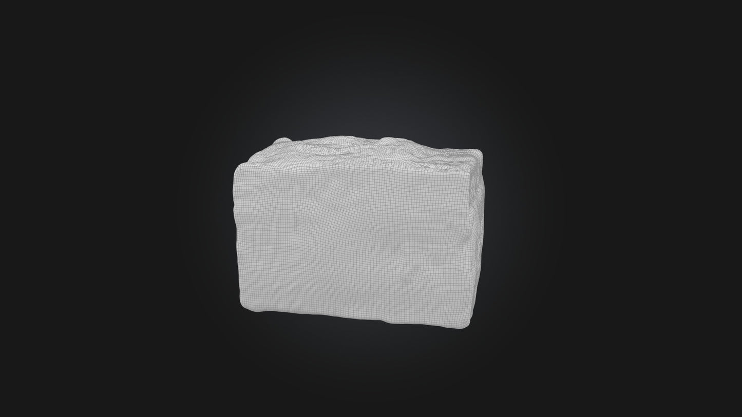 3D model Infected Skin Tissue VR / AR / low-poly