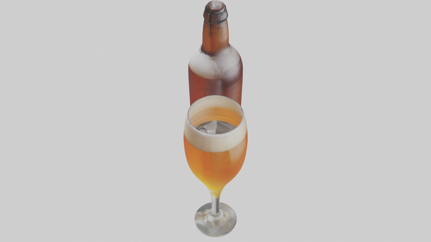 3D model IPA beer model VR / AR / low-poly