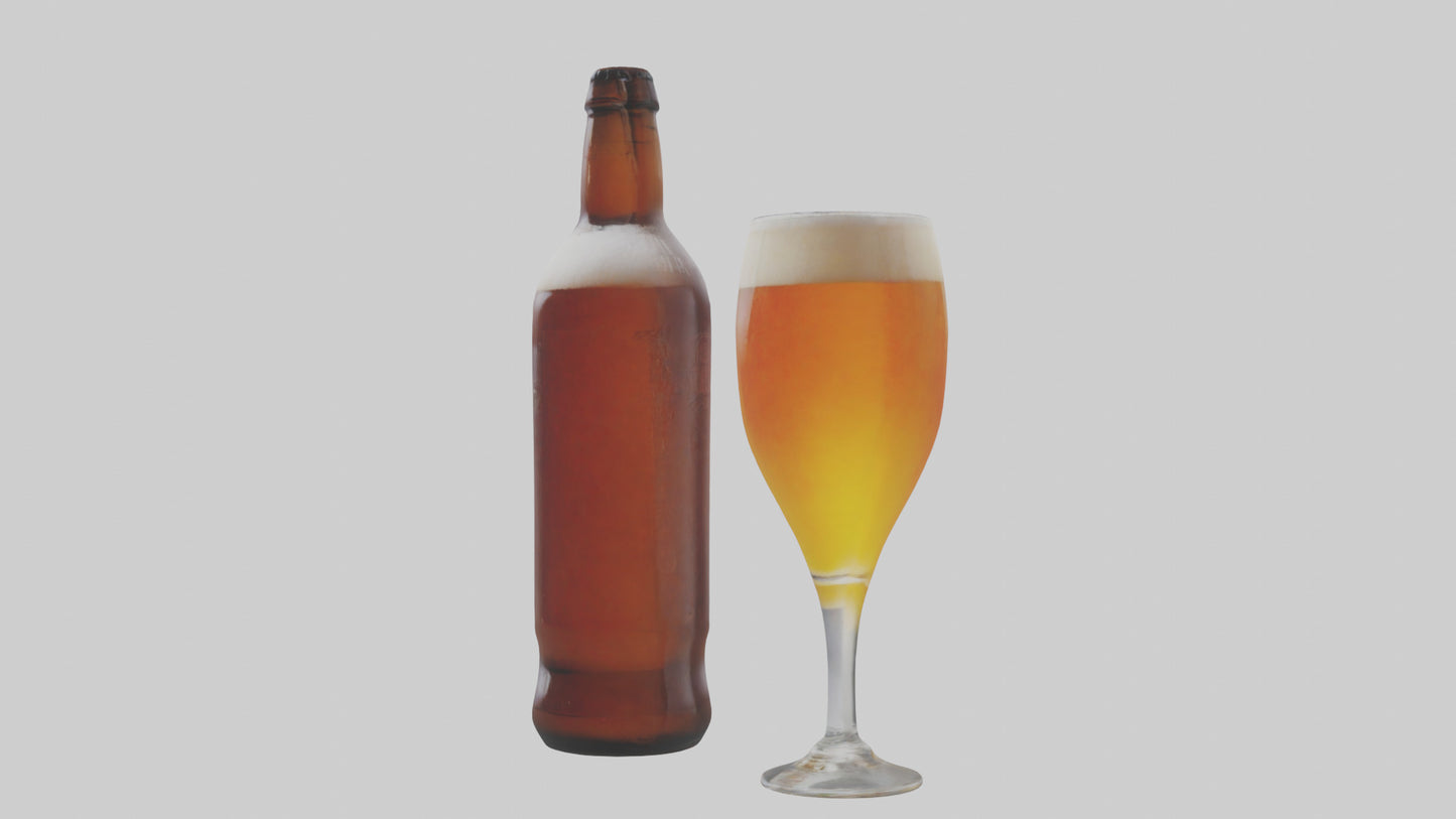 3D model IPA beer model VR / AR / low-poly
