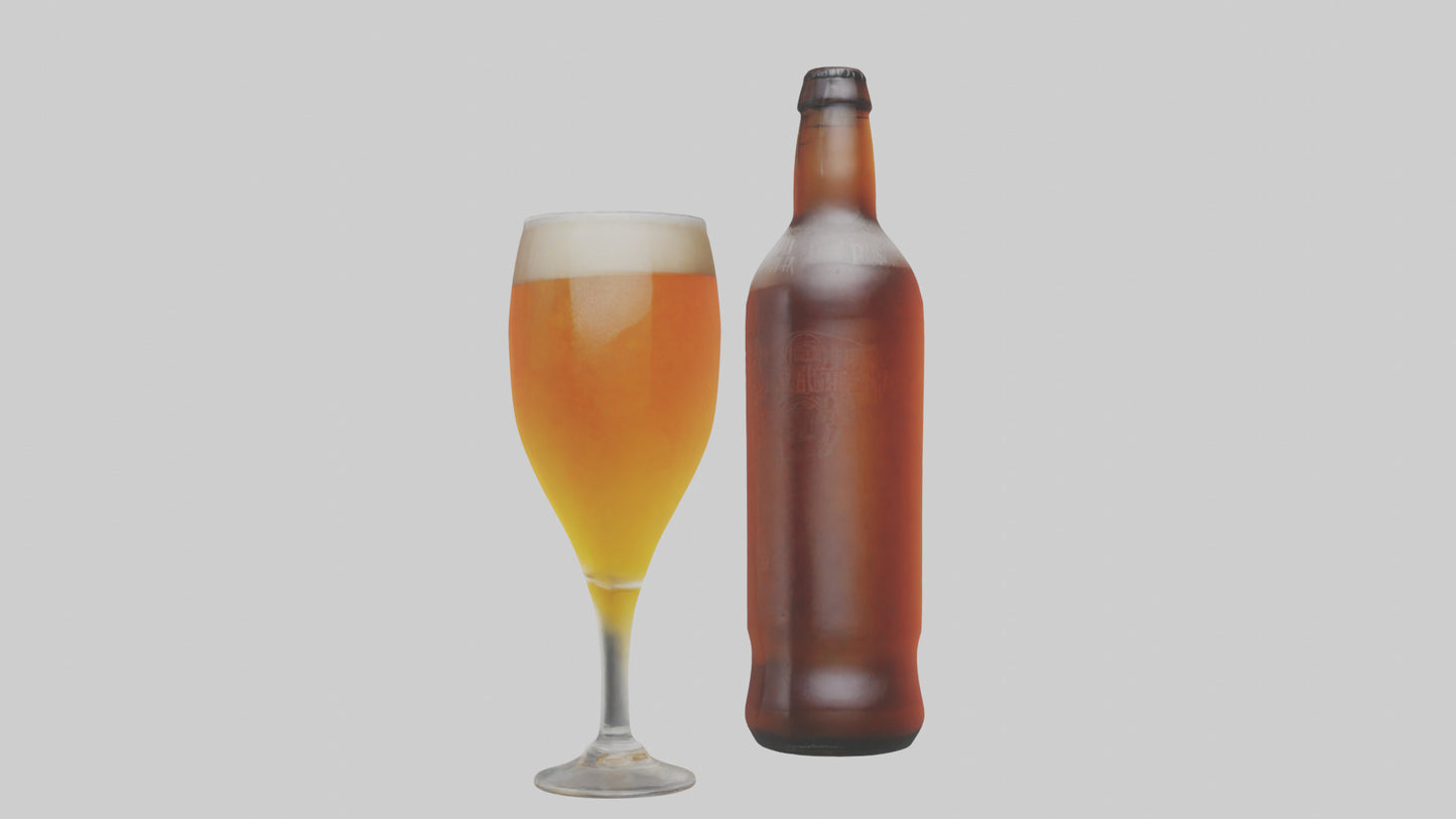 3D model IPA beer model VR / AR / low-poly