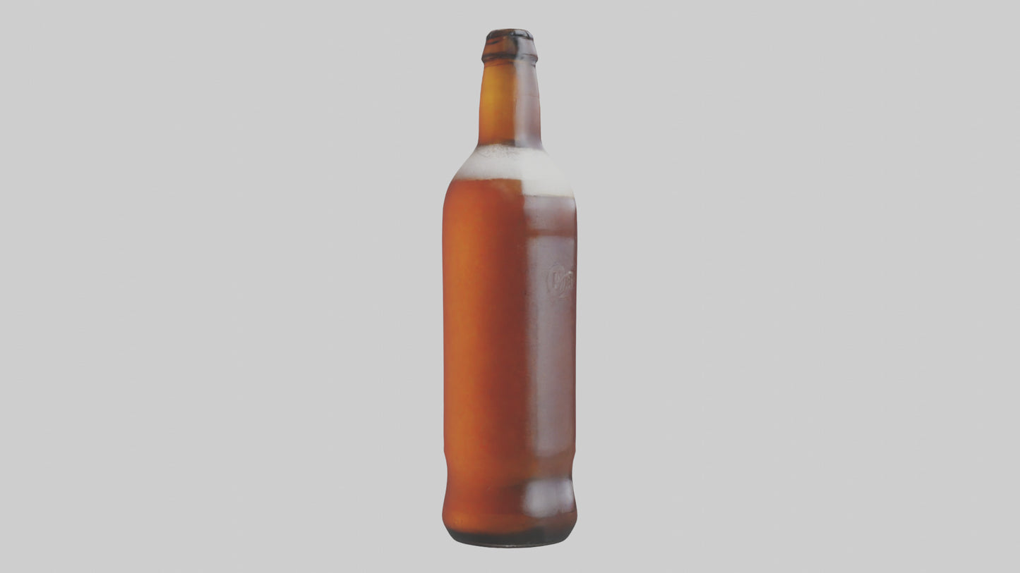 3D model IPA beer model VR / AR / low-poly