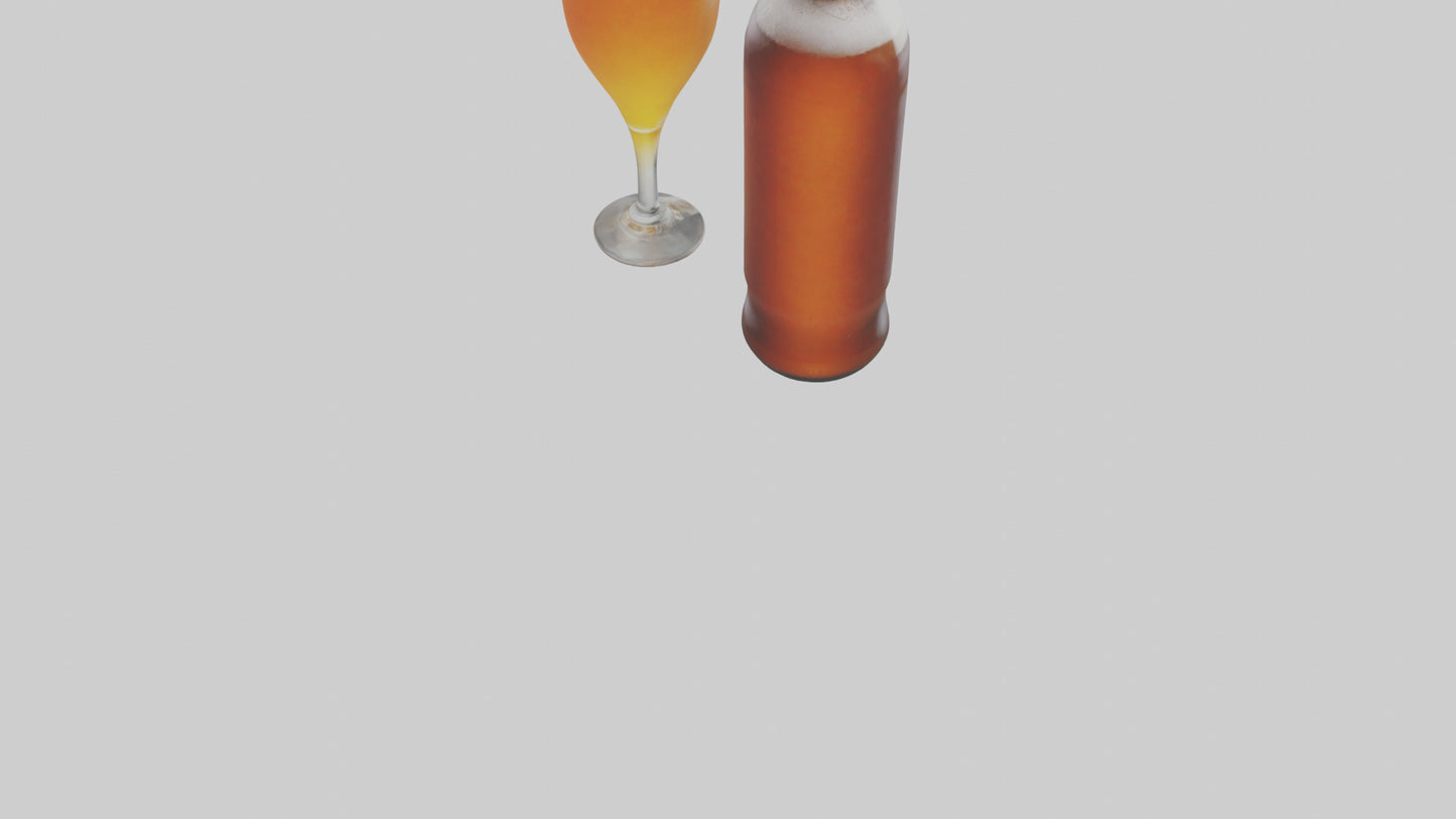 3D model IPA beer model VR / AR / low-poly