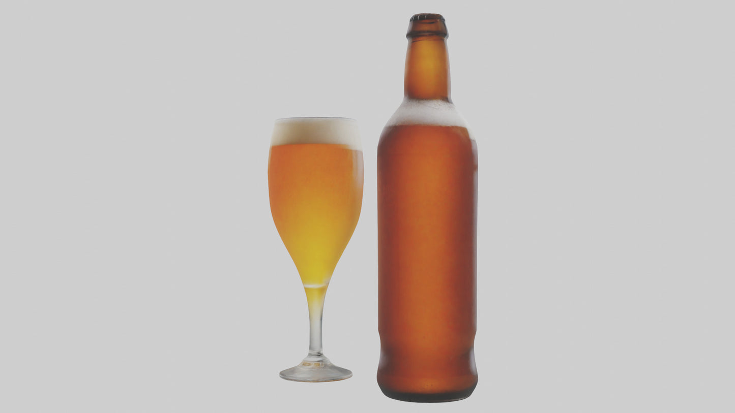 3D model IPA beer model VR / AR / low-poly