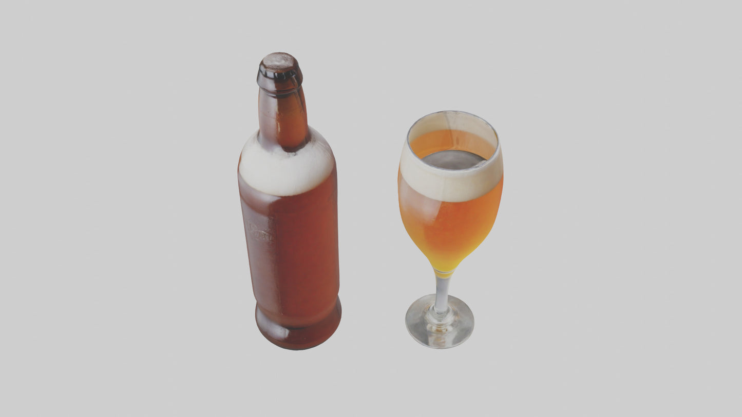 3D model IPA beer model VR / AR / low-poly