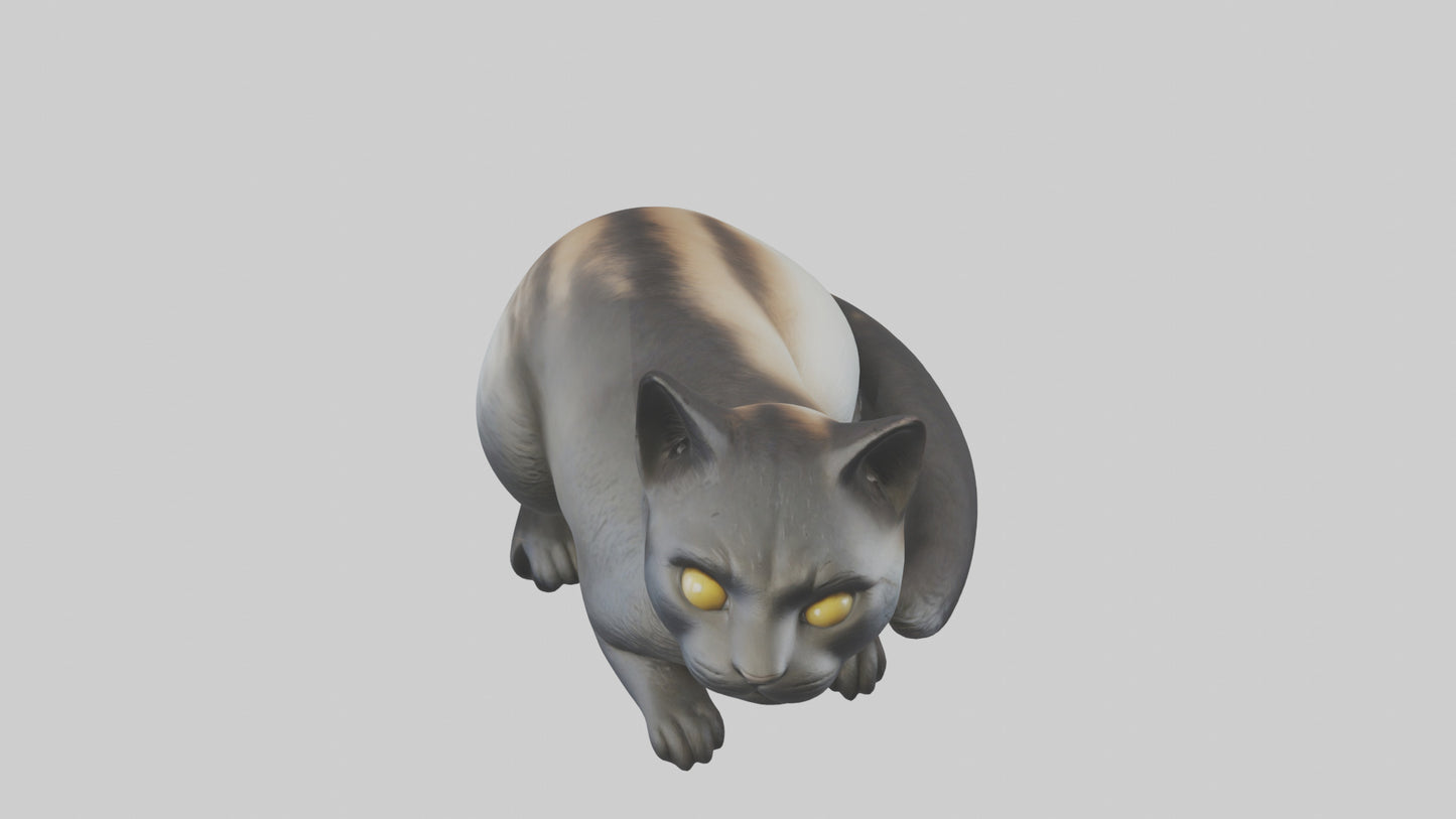 Iriomote Cat resting model VR / AR / low-poly