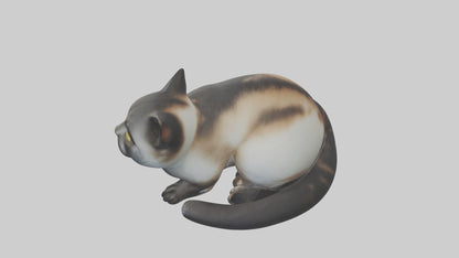 Iriomote Cat resting model VR / AR / low-poly