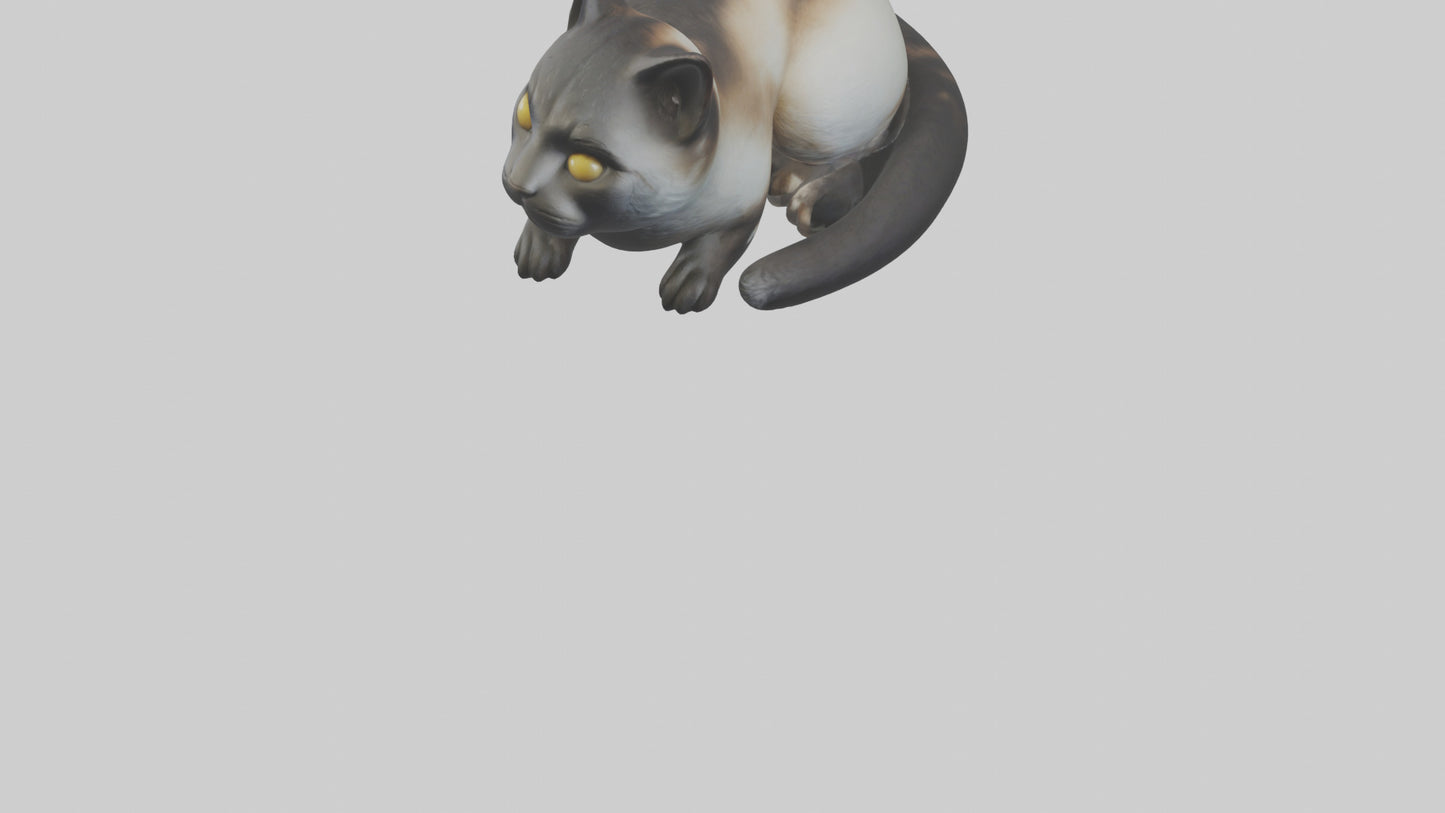 Iriomote Cat resting model VR / AR / low-poly