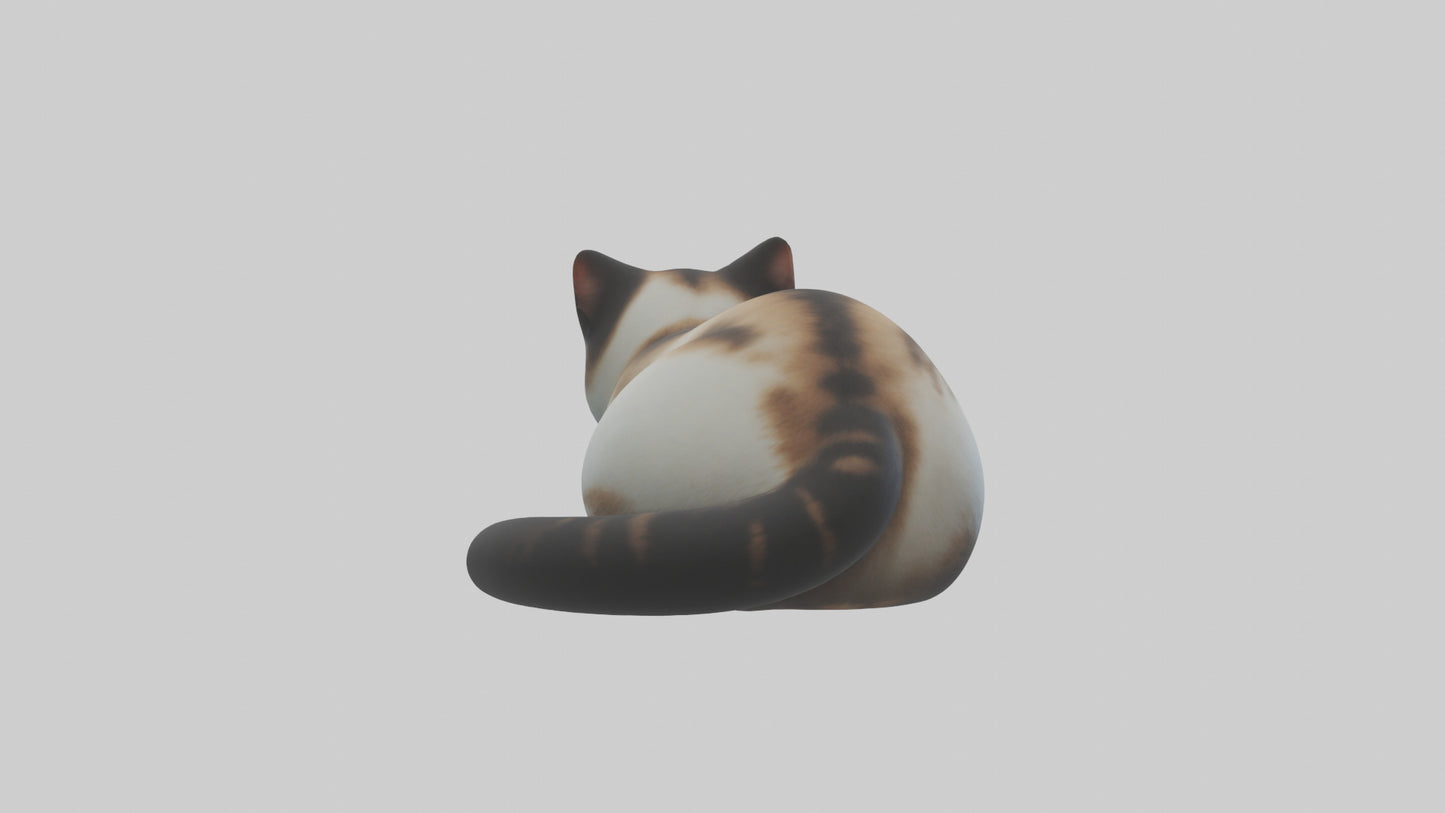 Iriomote Cat resting model VR / AR / low-poly